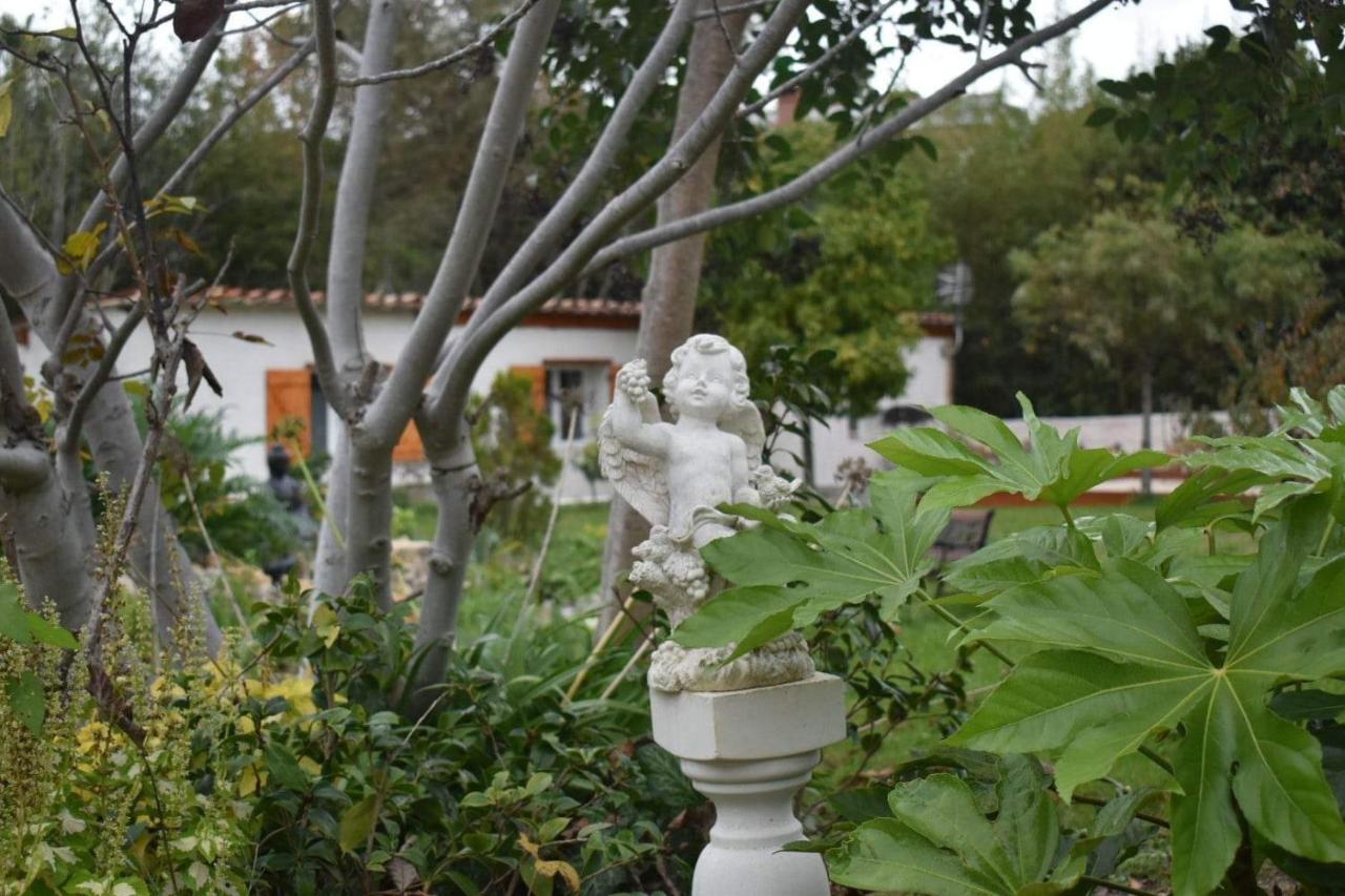 L'Oranger - Magnifique Studio Independant Sur Mougins Avec Jacuzzi Prive - Parking - Climatisation Kültér fotó